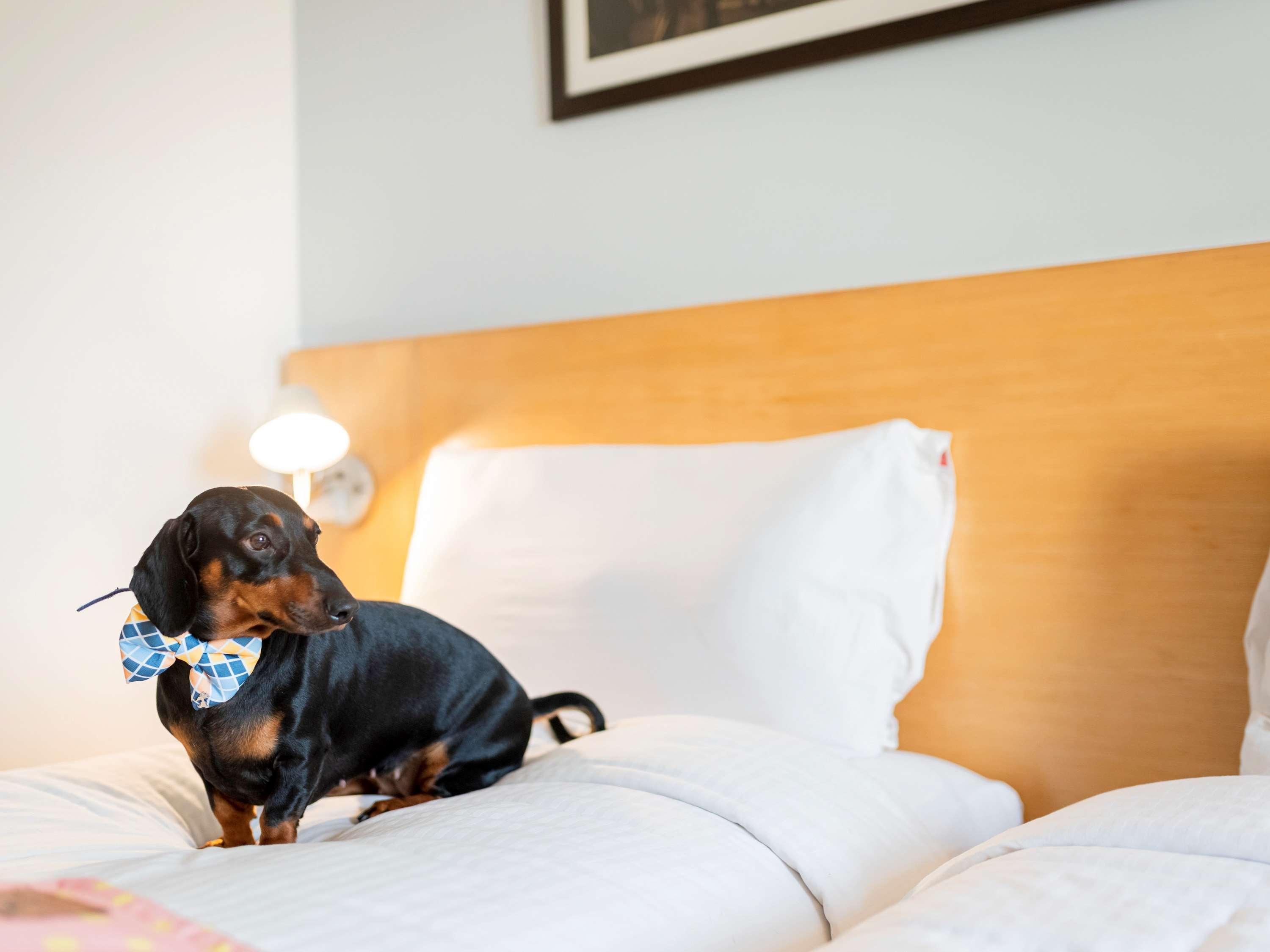 Ibis Gurgaon Golf Course Road - An Accor Brand 호텔 외부 사진