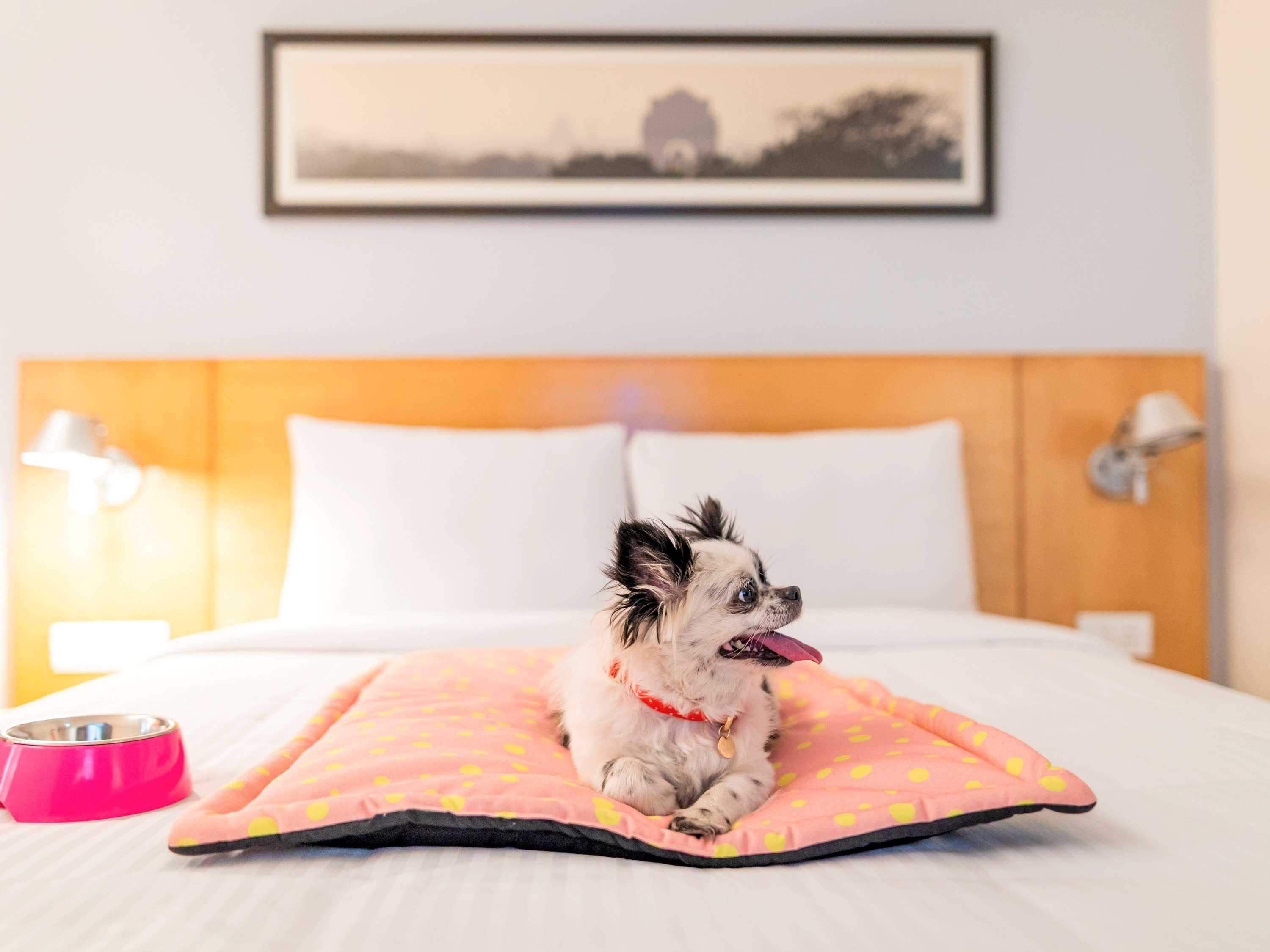 Ibis Gurgaon Golf Course Road - An Accor Brand 호텔 외부 사진